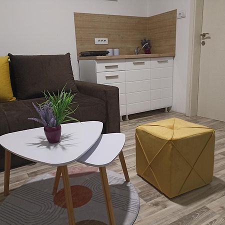 Vikendica Apartments Dunav Ms Celarevo 외부 사진